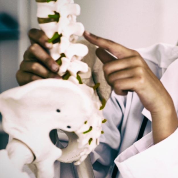 chiropractic care insync wellness