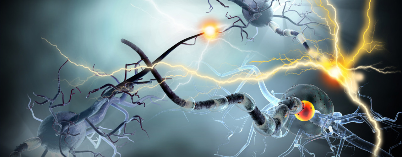 neurological disorderspre surgical pt Insync Wellness Brampton Ontario